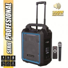 Coolsound Pro 300 Altavoz Autoamplificado Bluetooth 300w 10" 80w Rms Con...