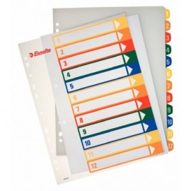 Esselte Indices Proyectos Imprimibles A4 Maxi Pp Tipo 1-12 Multicolor Ma...